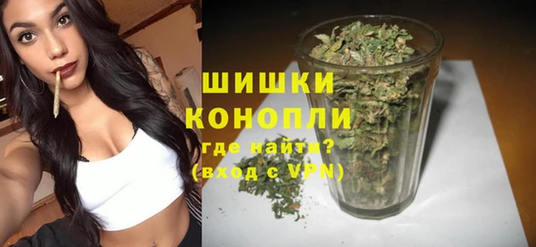 мдпв Володарск