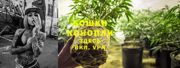 мдпв Володарск